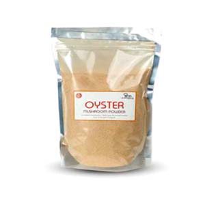 Oyester Dry Mushroom (powder) -1kg