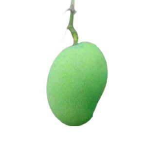 Green Mango (কাঁচা আম) -1kg