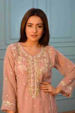 Stylish Embroidered & Karchupi Work- 2pcs