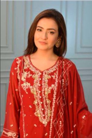 Stylish Embroidered & Karchupi Work -2pcs