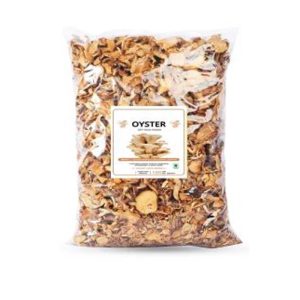 Dry Oyster Mushroom -100g