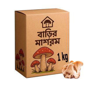 Fresh Oyster mushrooms – 1kg