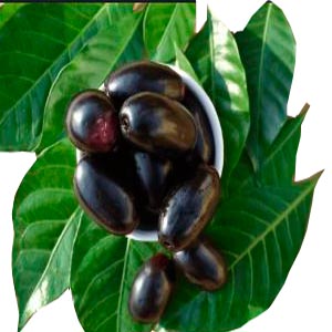 দেশীয় কালো জাম -1kg