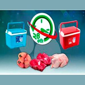 Ice Box 24 hours Protection 8Ltr (RFL)