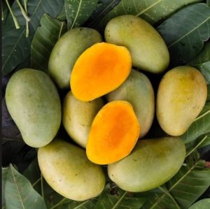 100% ক্যামিকেল মুক্ত আম্র রুপালি আম -1kg